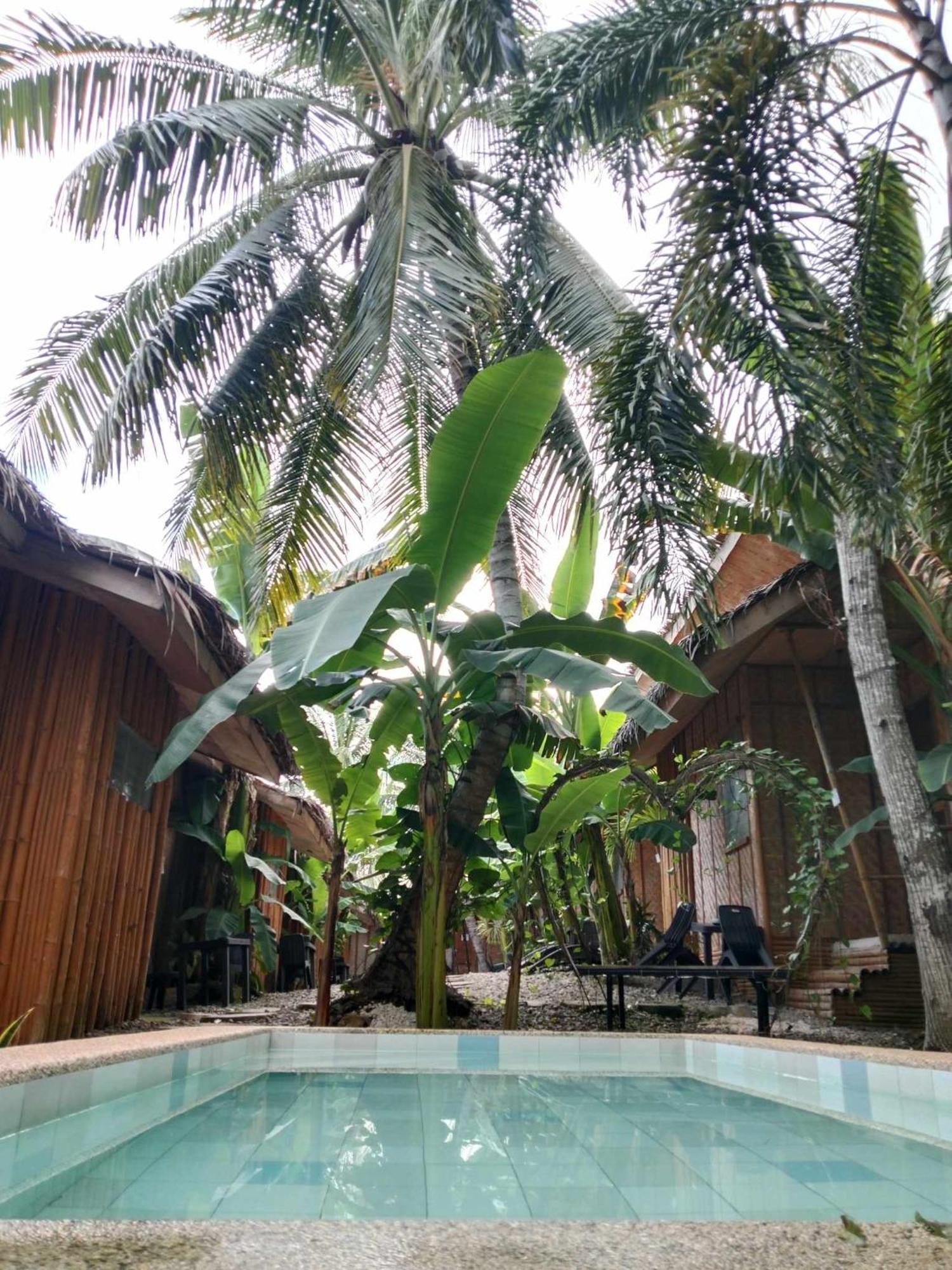 Ecostay Panglao Resort Hotel Экстерьер фото
