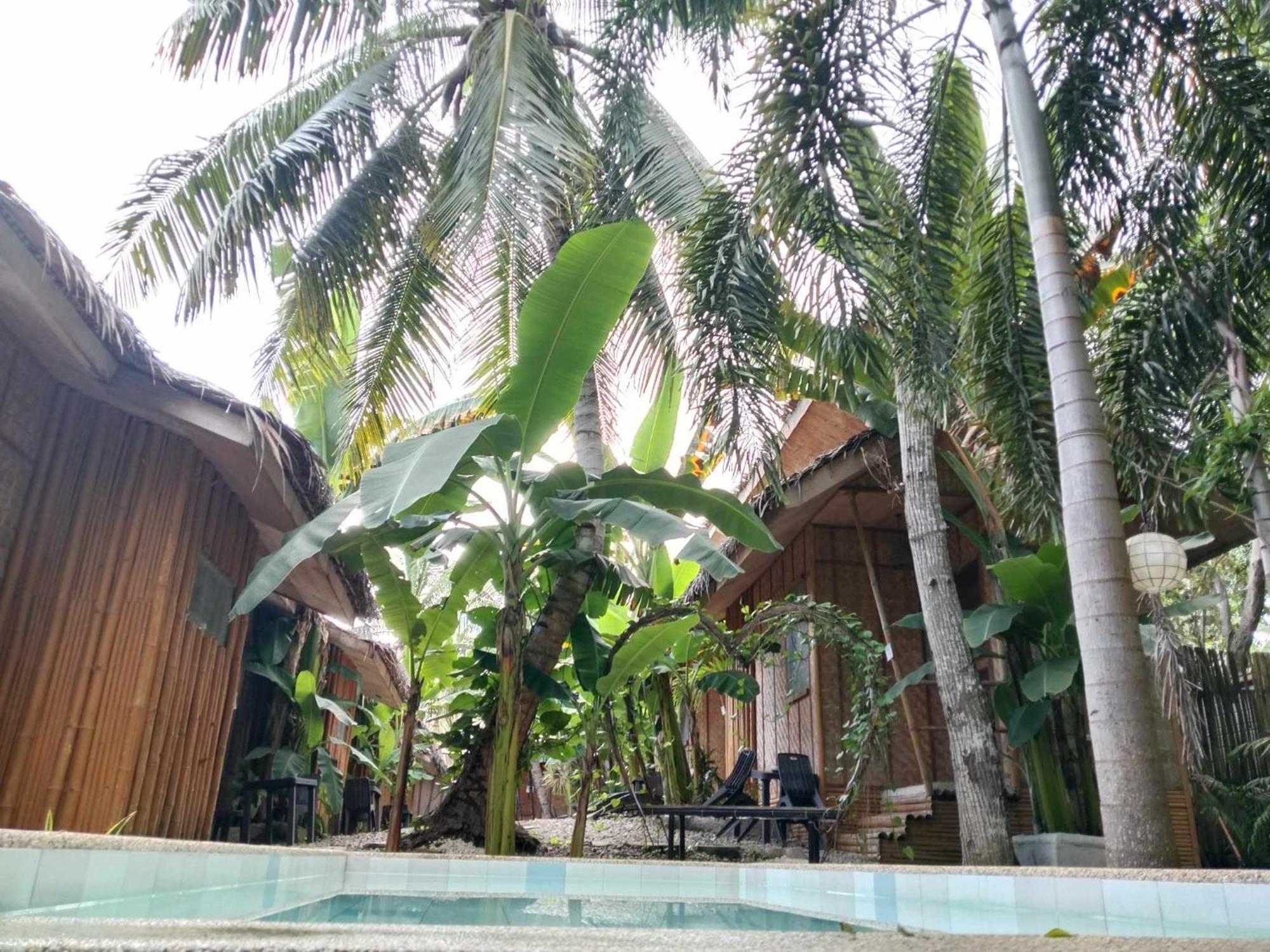 Ecostay Panglao Resort Hotel Экстерьер фото